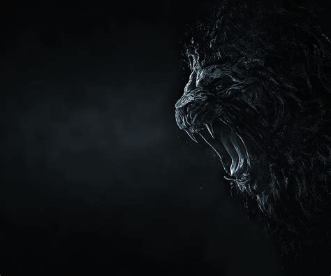 Black And White Lion Wallpapers Top Free Black And White Lion ...