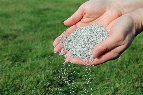 Fertilising Your Lawn | Mayford