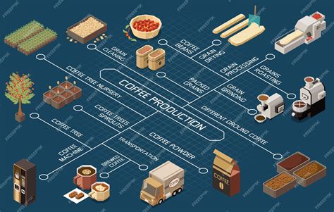 Free Vector | Coffee production industry flowchart depicting coffee ...