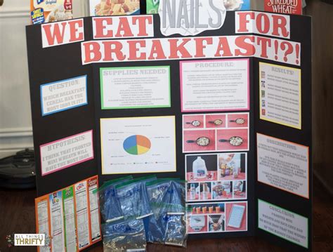 First place Elementary School Science Fair Project!