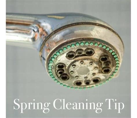 4 Tips for Removing Mold From Your Shower