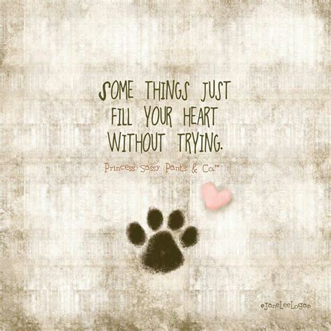 Quotes About Paw Prints. QuotesGram