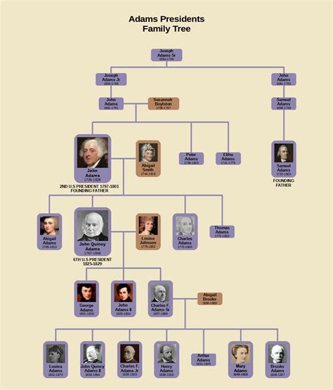 Adams Presidents Family Tree : r/UsefulCharts