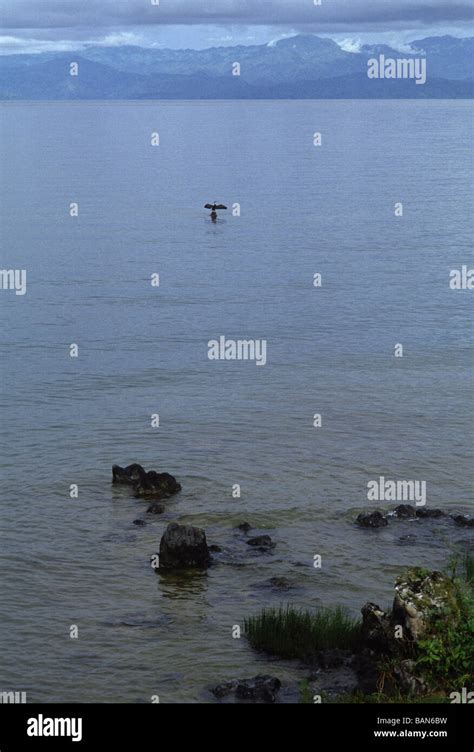 Lake Kivu a volcanic lake on the Rwandan border with the Central Democratic Republic of Congo ...