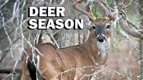 Texas deer hunting season begins | WOAI