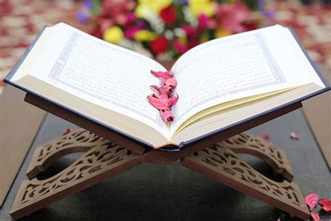 12 Most Amazing Verses From The Quran That are True Life Lessons