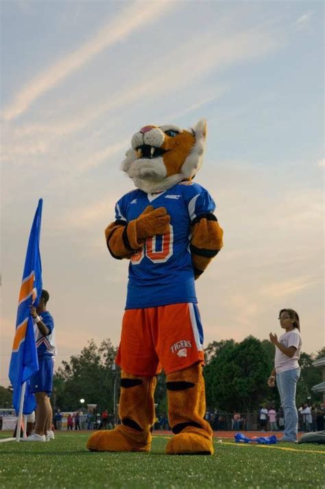 SSU's Mascot, Tiger, during the National Anthem. | Savannah state ...