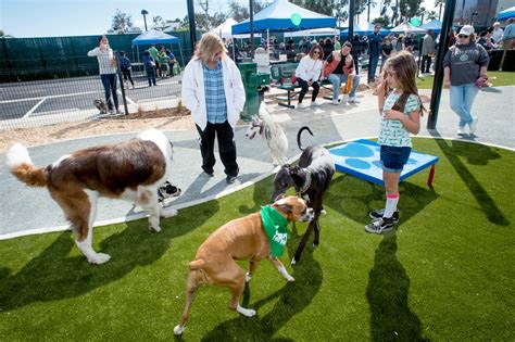 Signal Hill’s first dog park officially opens – Press Telegram