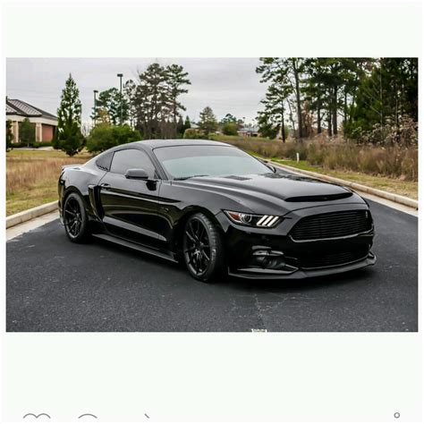 Black Mamba Hood or Cervini Hood? | 2015+ S550 Mustang Forum (GT, EcoBoost, GT350, GT500 ...