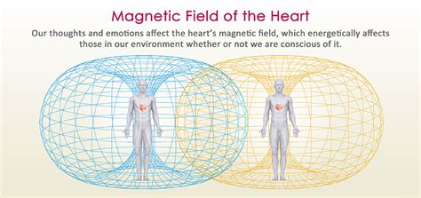 Each Individual Impacts the Field Environment | HeartMath Institute