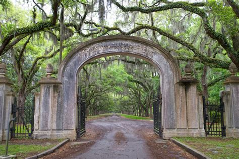 Wormsloe Plantation, photo file, #1201991 - FreeImages.com