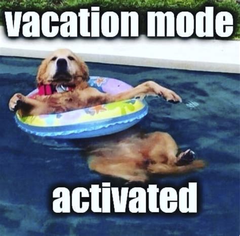 These Memes About Summer Vacations Will Make You Want To Pack - Summer ...