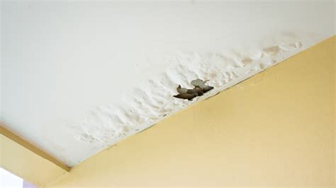 Ceiling Leak Detection & Repair Company | Essex & S. East