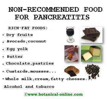 Suitable food for pancreatitis – Botanical online