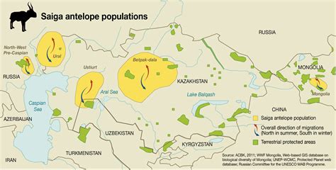 Saiga antelope populations | GRID-Arendal