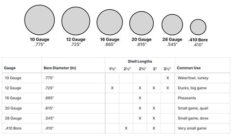 Shotgun Gauge Size Chart | Sportsman's Warehouse