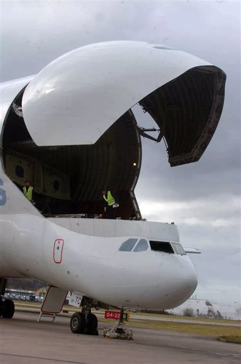 Inside the Airbus Beluga cargo aircraft - Wales Online