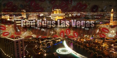 Bed Bugs Las Vegas