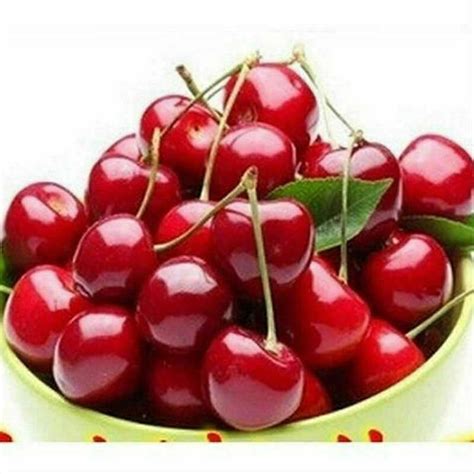 20pcs Cherry Seeds Organic Seeds Fruit Seeds Bonsai Tree High - Etsy