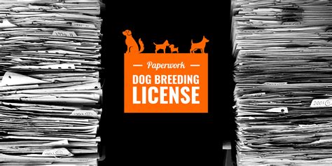 How To Become A Licensed Dog Breeder - Numberimprovement23