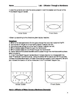 19+ Diffusion Through A Membrane Lab Pdf - KiaraKeiara