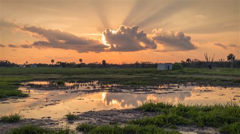 Climate Change Alters What's Possible in Restoring Florida's Everglades ...