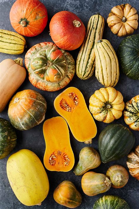 21 Types of Squash Recipe - غذای هرمزگان