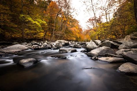 Photos of Rock Creek Park in the Fall