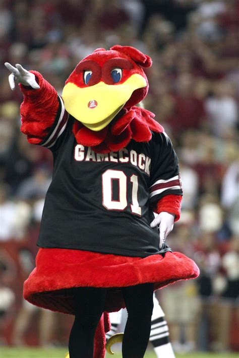 Mascot Monday: Cocky | KC College Gameday