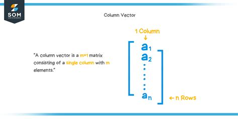 Column vector - Explanation & Examples