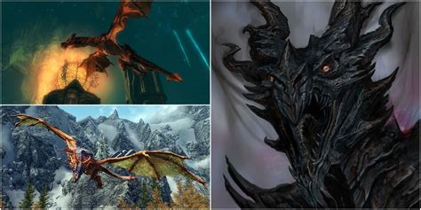 Every Named Dragon In Skyrim & Their Stories