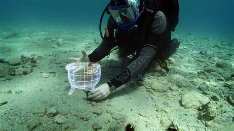 Underwater archaeology comes of age. - The News Room