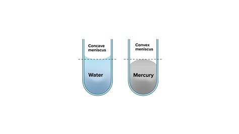 Why does Mercury have a convex meniscus?