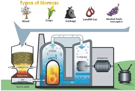 Biomass Energy For Kids