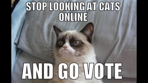 A Collection Of The Best Election Day Memes (2020)