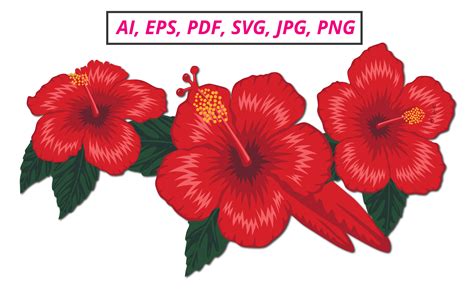 Red Hibiscus Flower Clipart | Best Flower Site