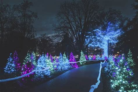 Garden Glow | Missouri Botanical Garden | Tours, Christmas | St. Louis News and Events ...