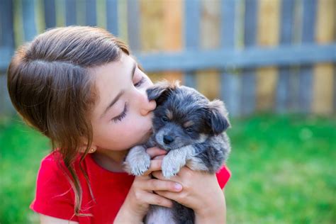 Get a child a dog: Start by choosing a family-friendly breed