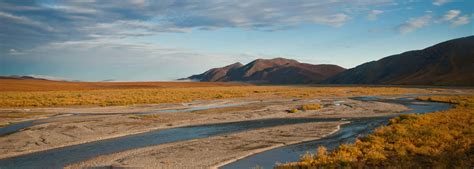 Arctic National Wildlife Refuge Base Camp Trip with Arctic Wild