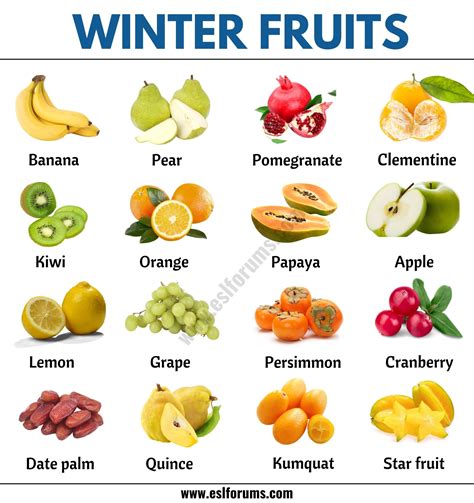 33 Winter Fruits: Different Types of Fruits You Can Find in the Winter