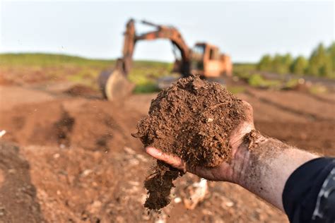 Peat-Based Compost | Horticulture.co.uk