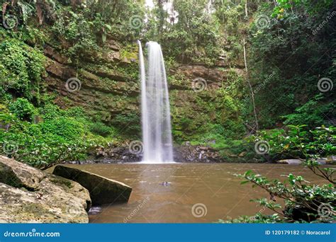 Ginseng Waterfall In Maliau Basin Stock Image | CartoonDealer.com #120179185