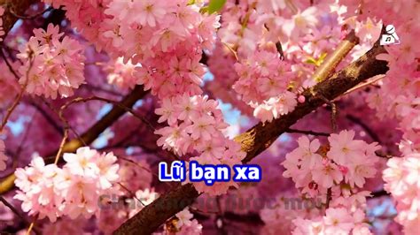 Karaoke Mùa Xuân Cưới Em [ Beat Chuẩn ] - YouTube