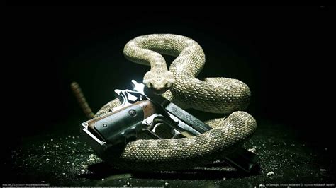 hitman absolution snake pc gaming gun Wallpapers HD / Desktop and ...