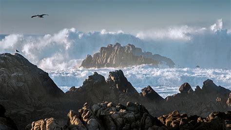 Asilomar SB – Bing Wallpaper Download