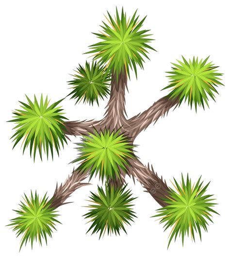 Yucca Brevifolia Tree Ornament Natural Vector, Tree, Ornament, Natural PNG and Vector with ...