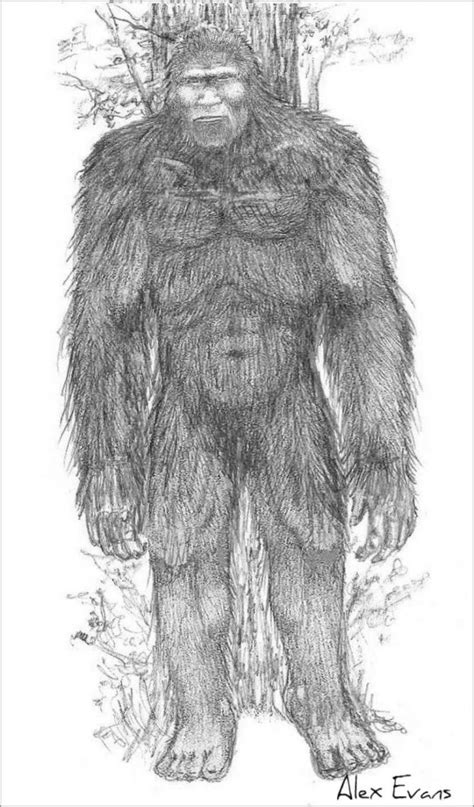 Cute Bigfoot Coloring Page - ColoringBay