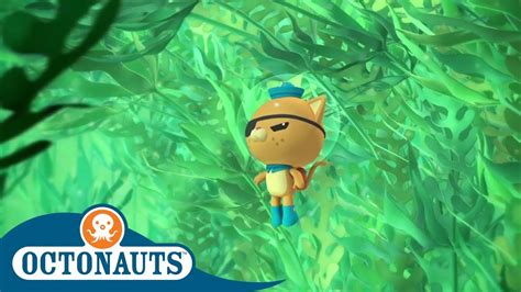 Octonauts - Underwater Jungle | Full Episodes | Cartoons for Kids - YouTube