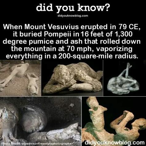 Pompeii Facts | Volcano