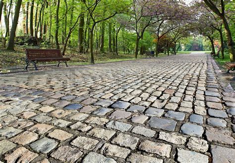 Paved road in public park with lush foliage. Springtime | Stock image ...